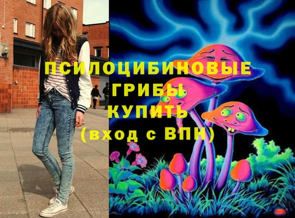 ешки Бугульма